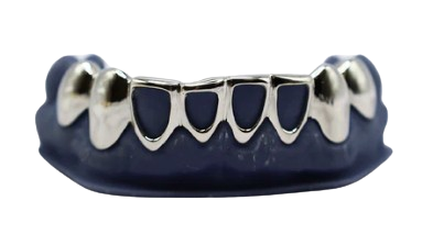 Alt 12 diş 